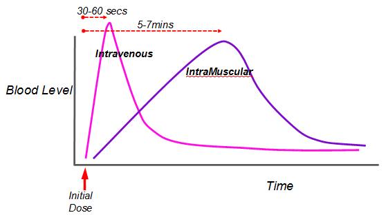 Pharmacokinetics-p15