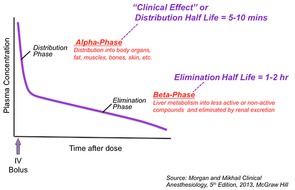 pharmacokinetics-page11