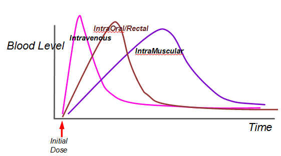 pharmacokinetics-page16